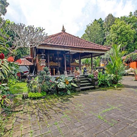 Oyo Homes 91091 Desa Wisata Umejero Munduk エクステリア 写真