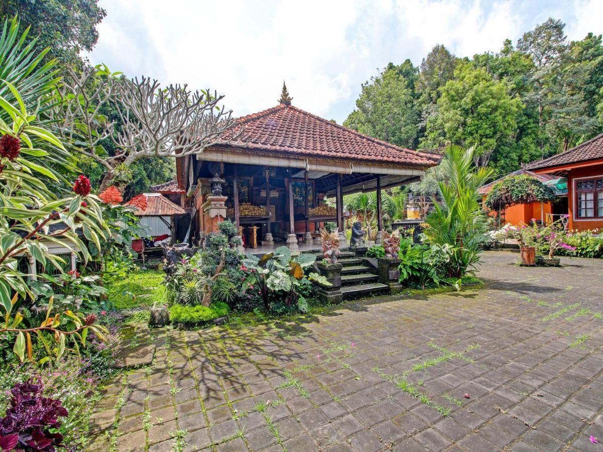 Oyo Homes 91091 Desa Wisata Umejero Munduk エクステリア 写真