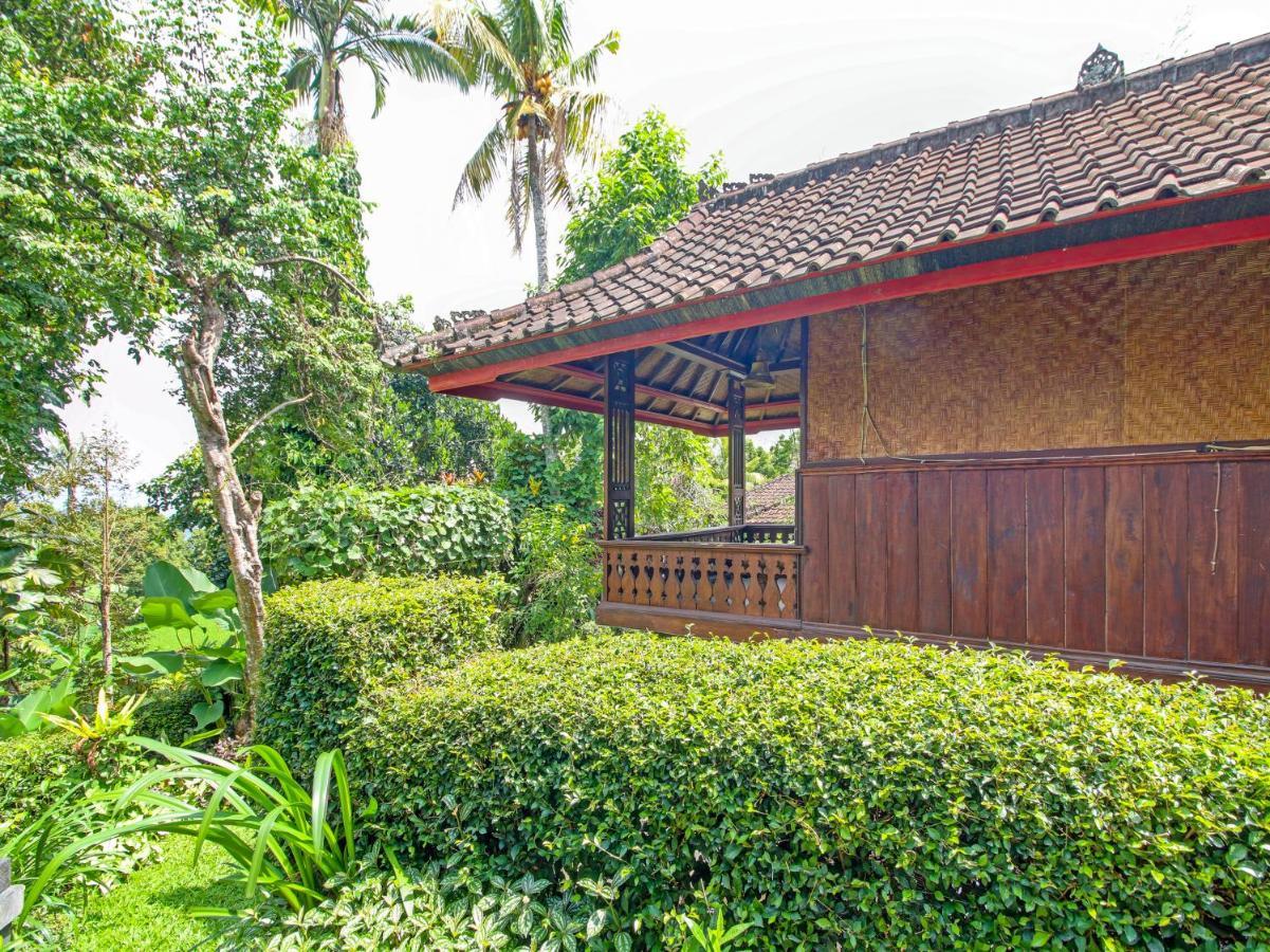 Oyo Homes 91091 Desa Wisata Umejero Munduk エクステリア 写真