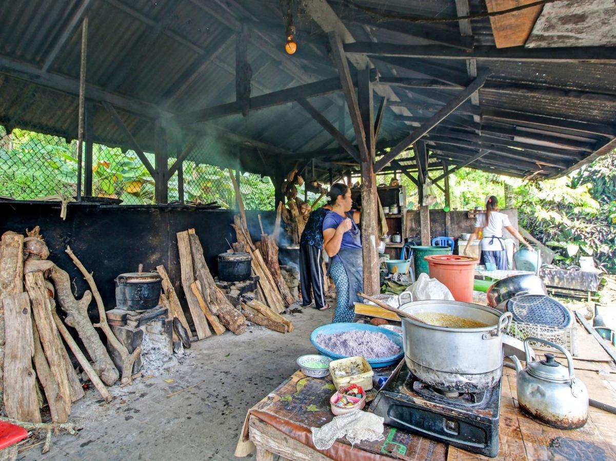 Oyo Homes 91091 Desa Wisata Umejero Munduk エクステリア 写真