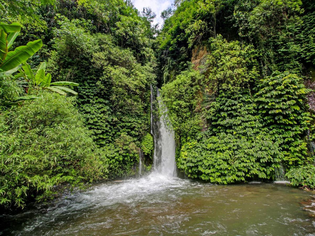 Oyo Homes 91091 Desa Wisata Umejero Munduk エクステリア 写真