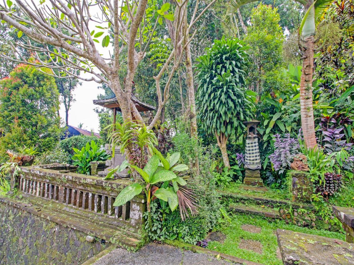 Oyo Homes 91091 Desa Wisata Umejero Munduk エクステリア 写真