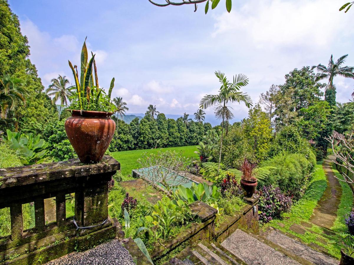 Oyo Homes 91091 Desa Wisata Umejero Munduk エクステリア 写真