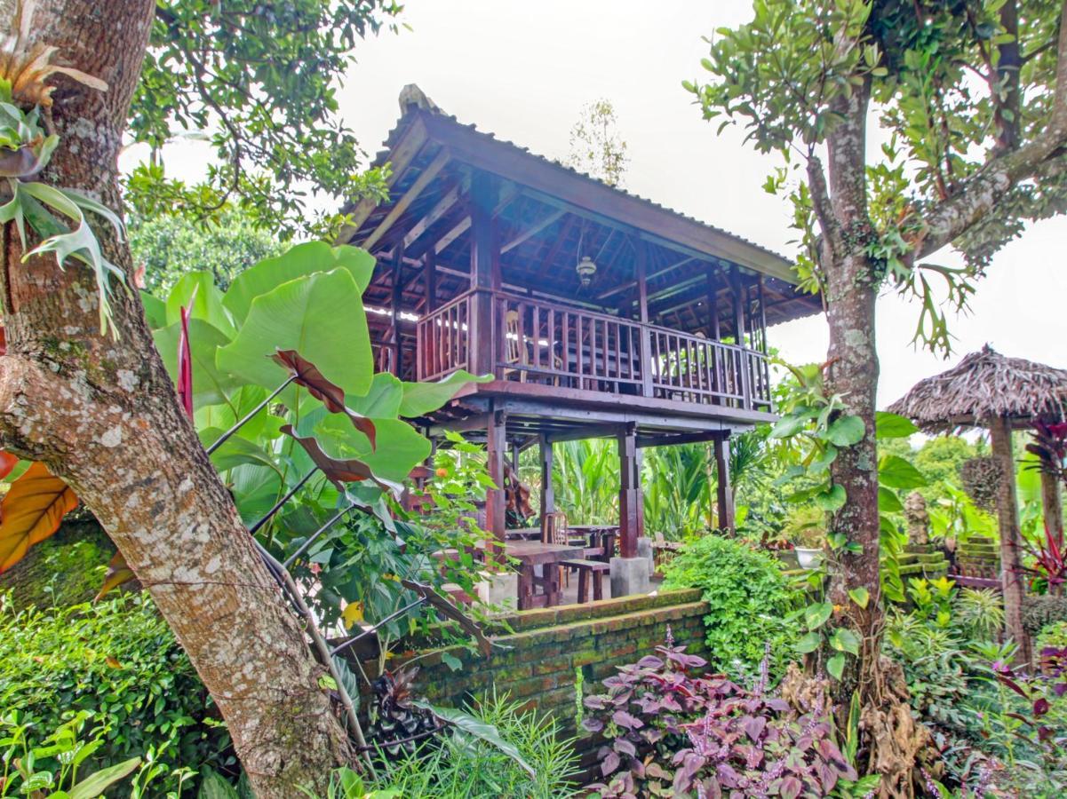 Oyo Homes 91091 Desa Wisata Umejero Munduk エクステリア 写真