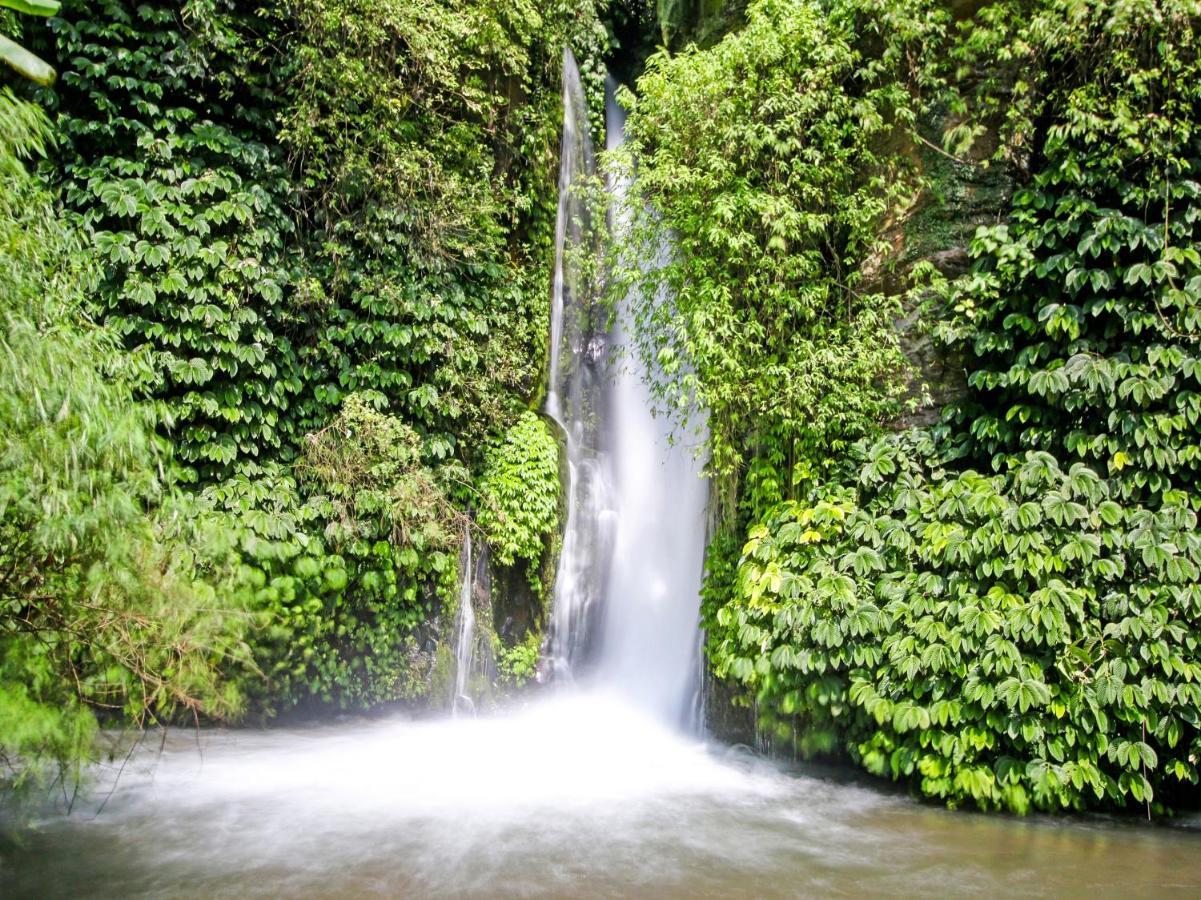 Oyo Homes 91091 Desa Wisata Umejero Munduk エクステリア 写真